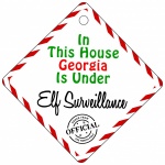 Personalised Child Name This House Is Under Elf Surveillance Metal House Window Sign